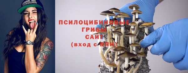 дурь Богородицк